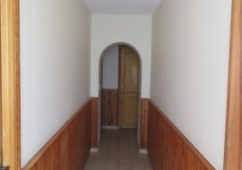 IMG_0601