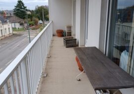 IMG_20241015_114250