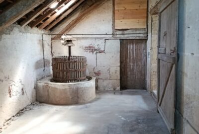 IMG_20250807_112016