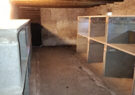 IMG_20250807_112053