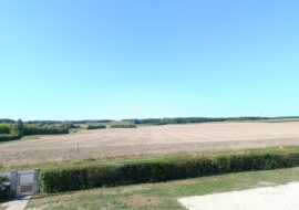 IMG_20250807_112335