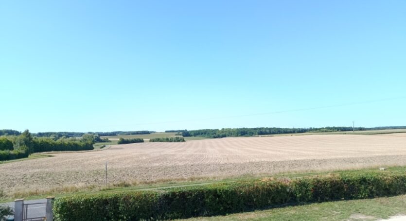 IMG_20250807_112335