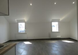 LOCATION-F2 BIS-AGENCE-VENDOME-IMMOBILIIER-THILY (04)