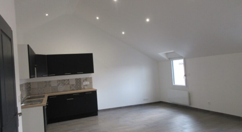 LOCATION-F2 BIS-AGENCE-VENDOME-IMMOBILIIER-THILY (05)