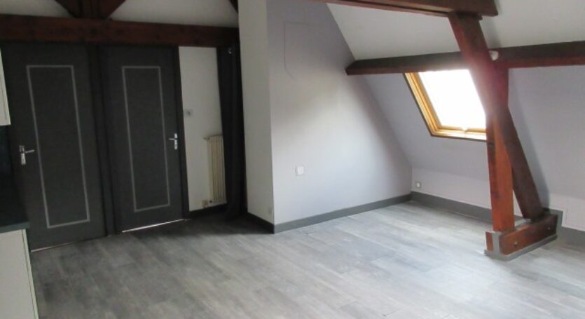 LOCATION-F2-BIS-VENDOME (03)