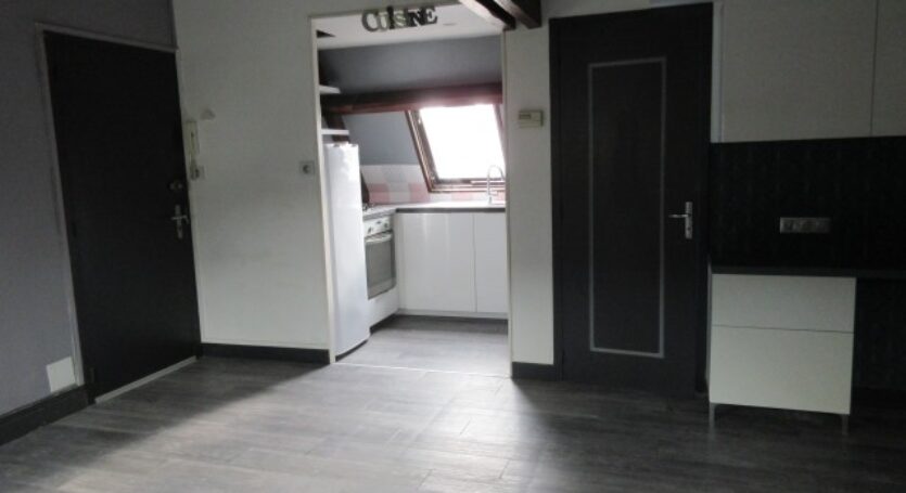 LOCATION-F2-BIS-VENDOME (06)