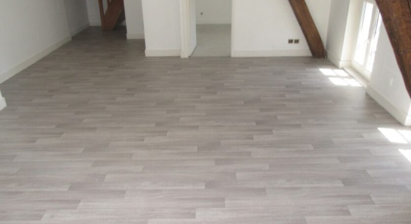 LOCATION-F2-DUPLEX-VENDOME (02)