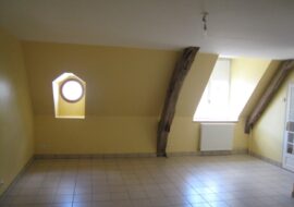 LOCATION-F2-F3-F4-F5-MAISON-VENDOME-ST-OUEN-AGENCE-IMMOBILIERE-VENDOME-SE-LOGER-PAP-LE-BON-COIN (3)