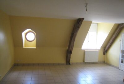 LOCATION-F2-F3-F4-F5-MAISON-VENDOME-ST-OUEN-AGENCE-IMMOBILIERE-VENDOME-SE-LOGER-PAP-LE-BON-COIN (3)