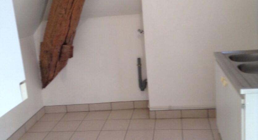 LOCATION-F2-F3-F4-F5-MAISON-VENDOME-ST-OUEN-AGENCE-IMMOBILIERE-VENDOME-SE-LOGER-PAP-LE-BON-COIN (6)