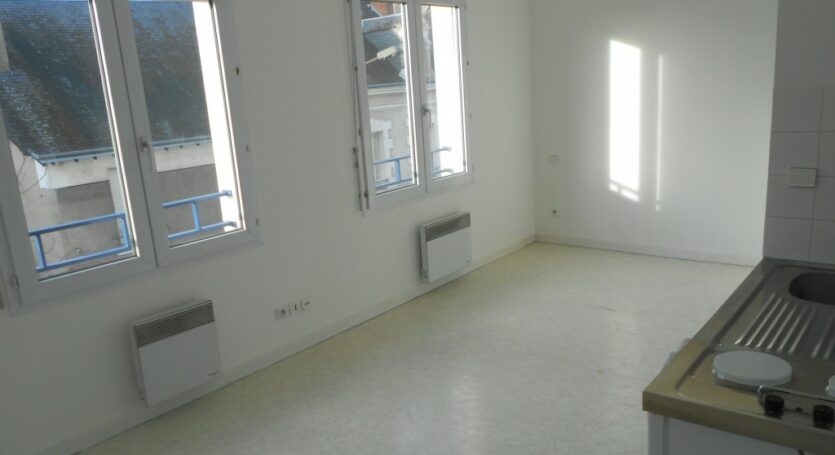 LOCATION-VENTE-LOUER-VENDRE-APPARTEMENT-MAISON-STUDIO-F1-F2-F3-F4-F5-F6-AGENCE-IMMOBILIERE-VENDOME-SAINT-MARTIN-IMMOBILIER-VENDOME (4)