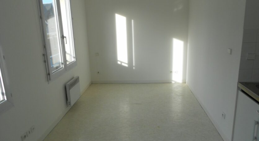 LOCATION-VENTE-LOUER-VENDRE-APPARTEMENT-MAISON-STUDIO-F1-F2-F3-F4-F5-F6-AGENCE-IMMOBILIERE-VENDOME-SAINT-MARTIN-IMMOBILIER-VENDOME (5)
